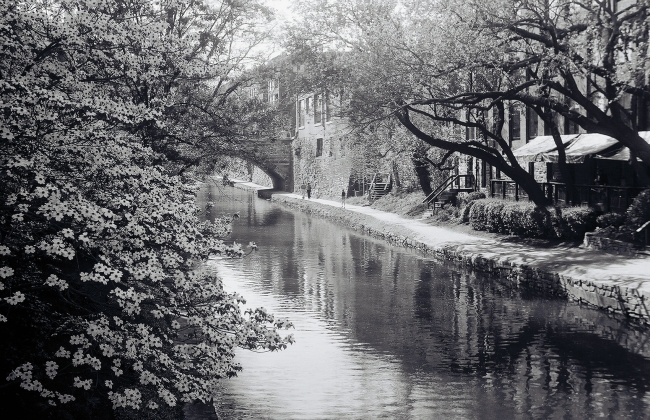 C&O Canal - Georgetown, Washington, DC, Spring 2006