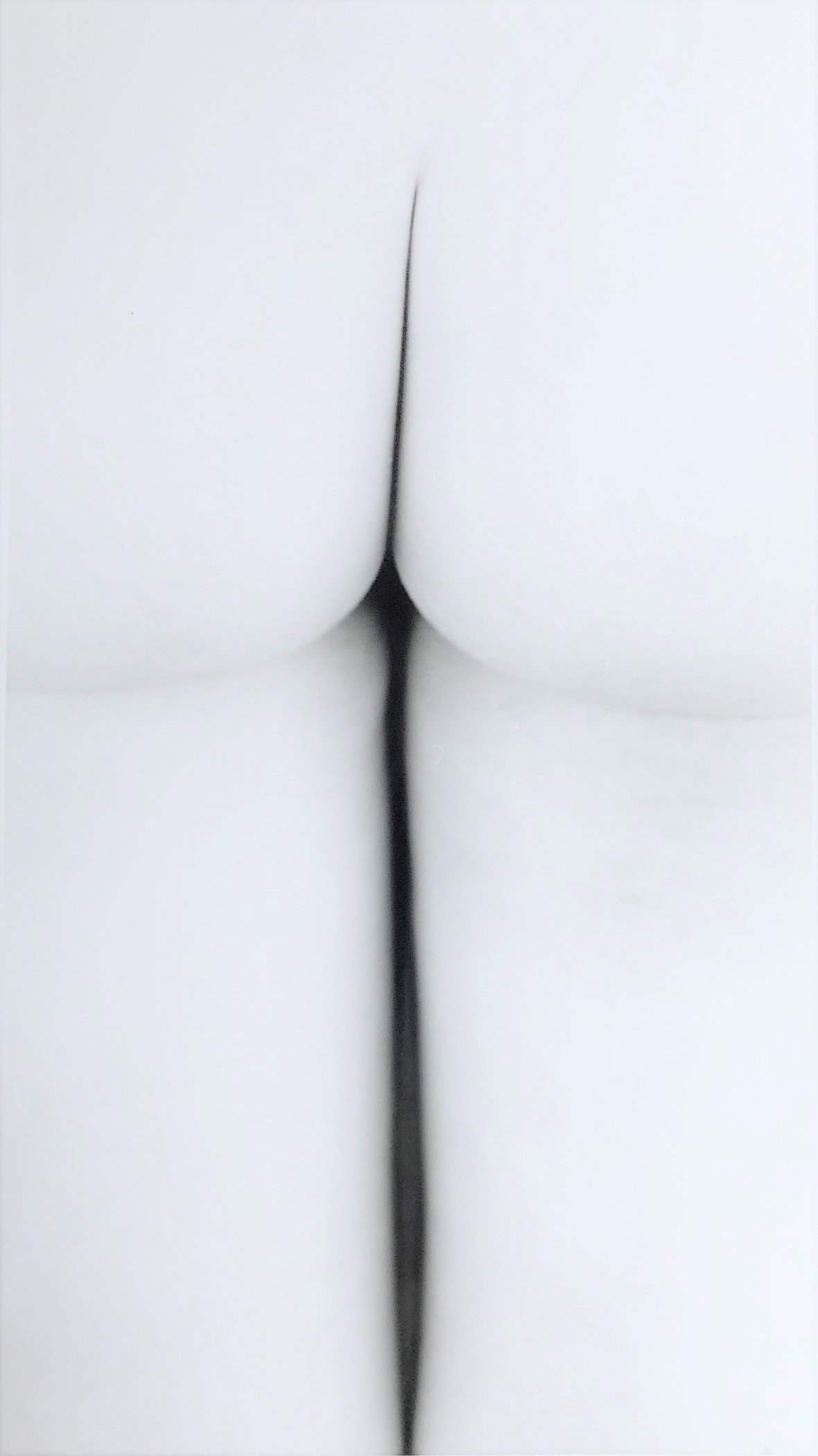 C4