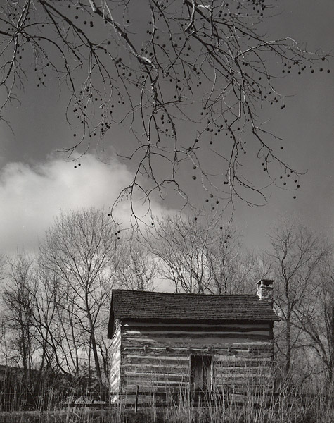 Cabin And Branch