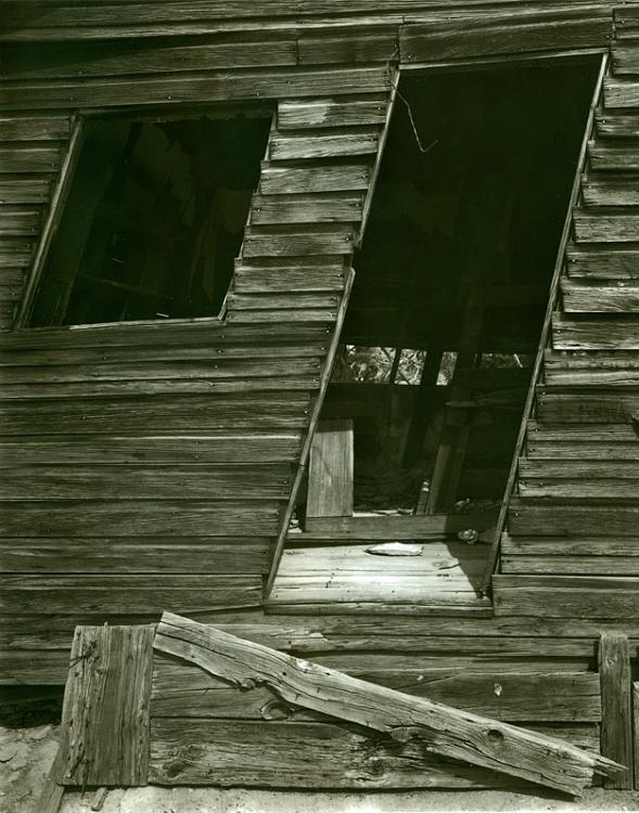 Cabin In The Maze