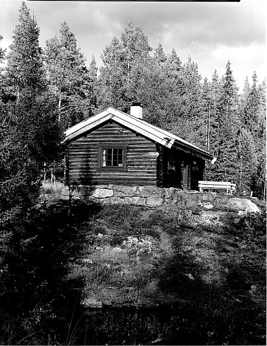Cabin in the mountains