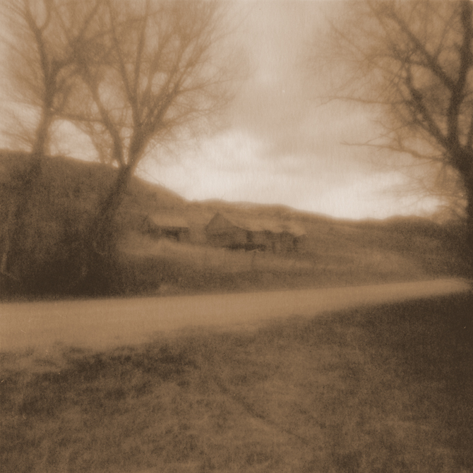 Cabin - Morgan Ranch