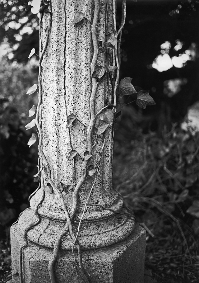 Cabrillo Lamppost