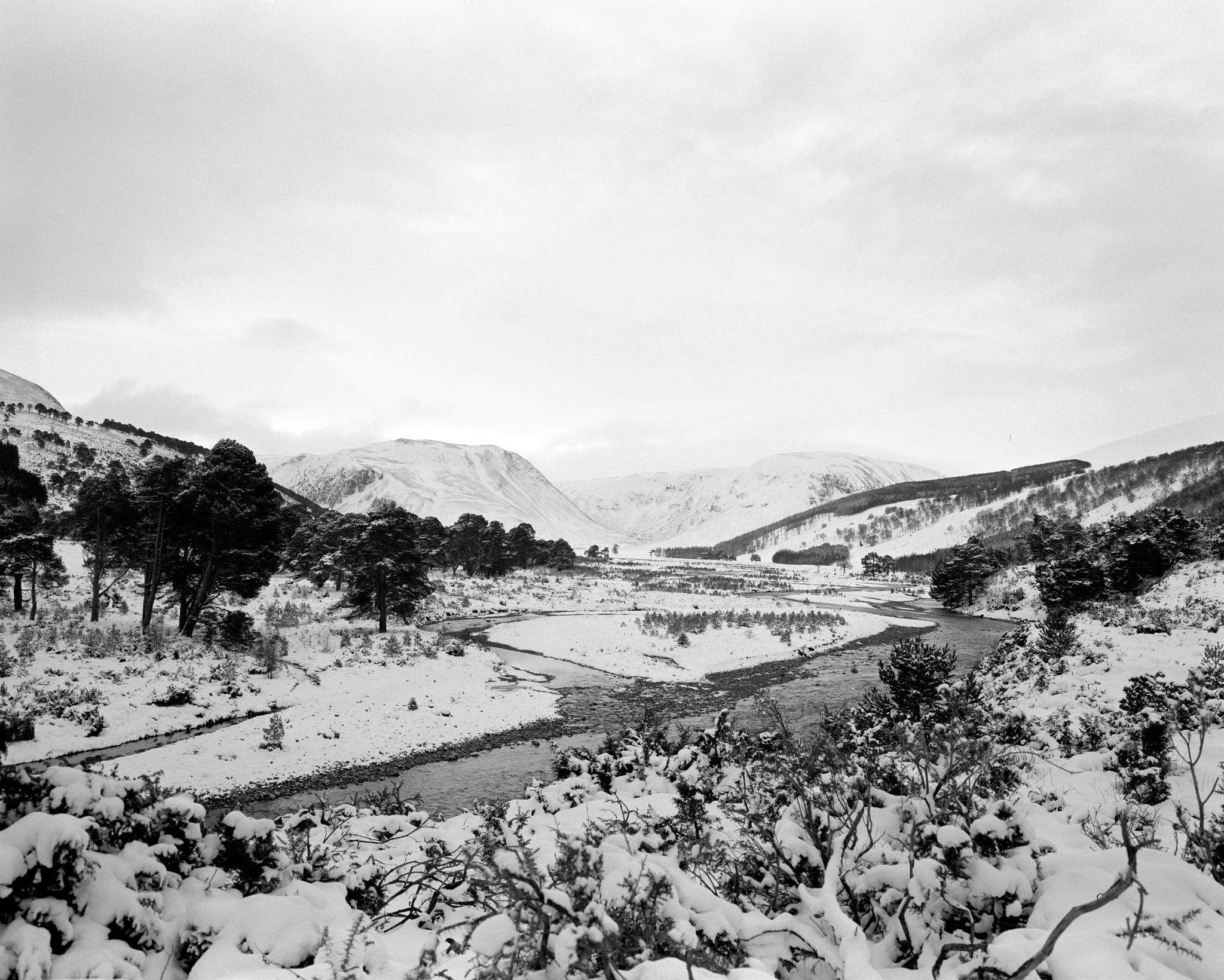 Cairngorms winter - 1