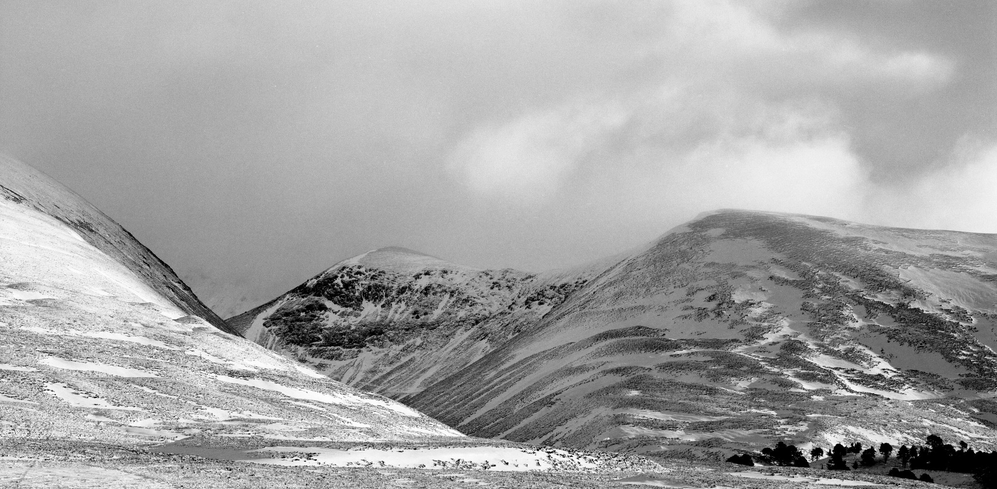 Cairngorms winter - 2