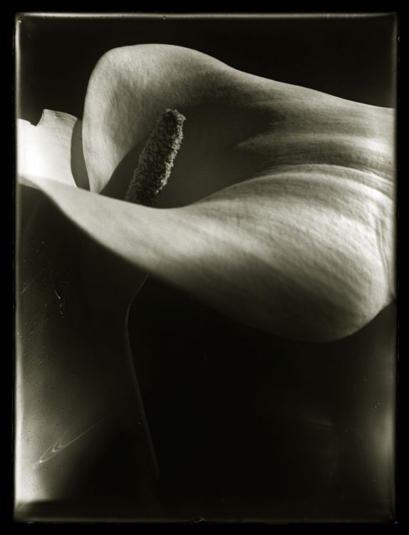 Cala Lilly