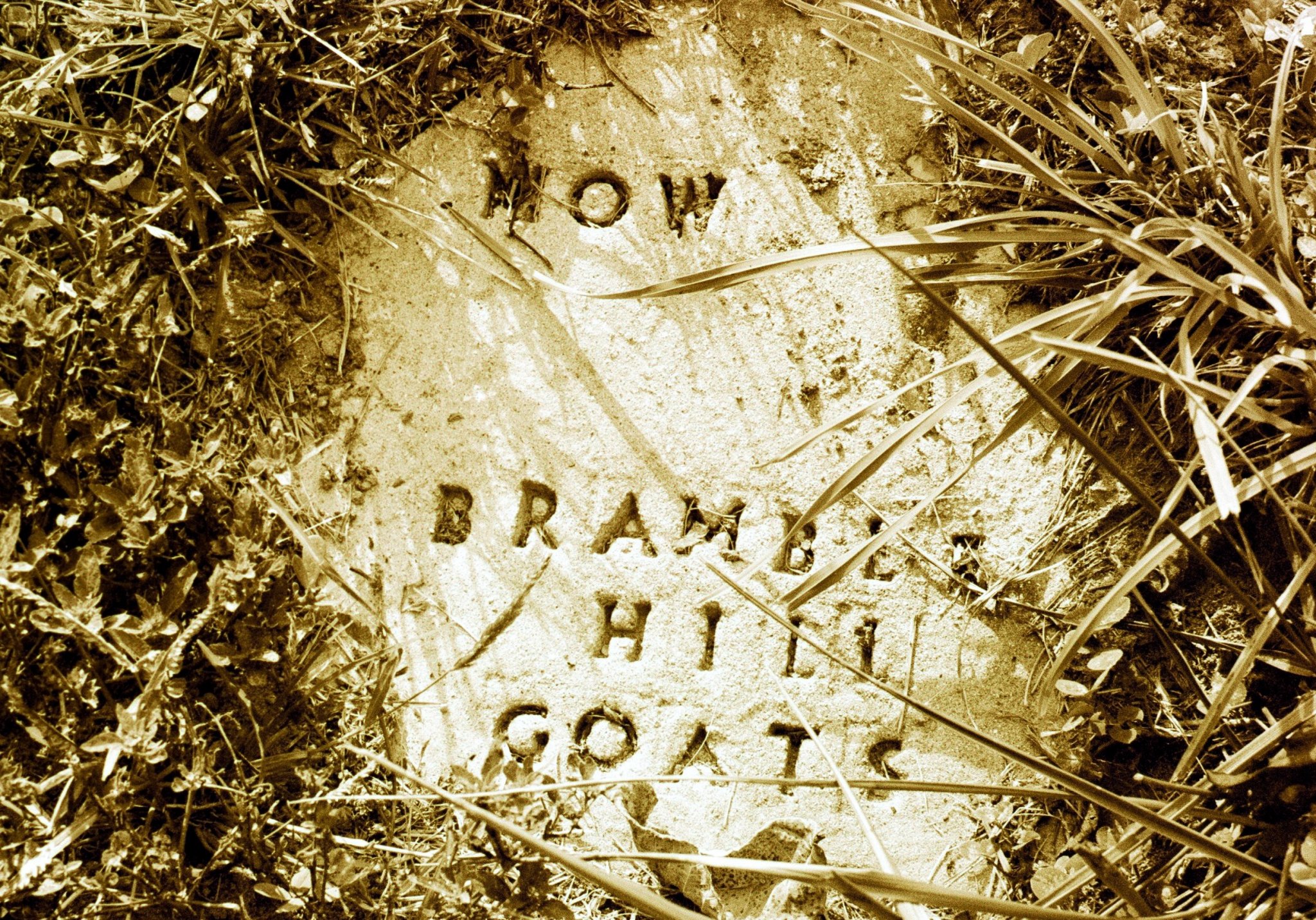 calling all goats