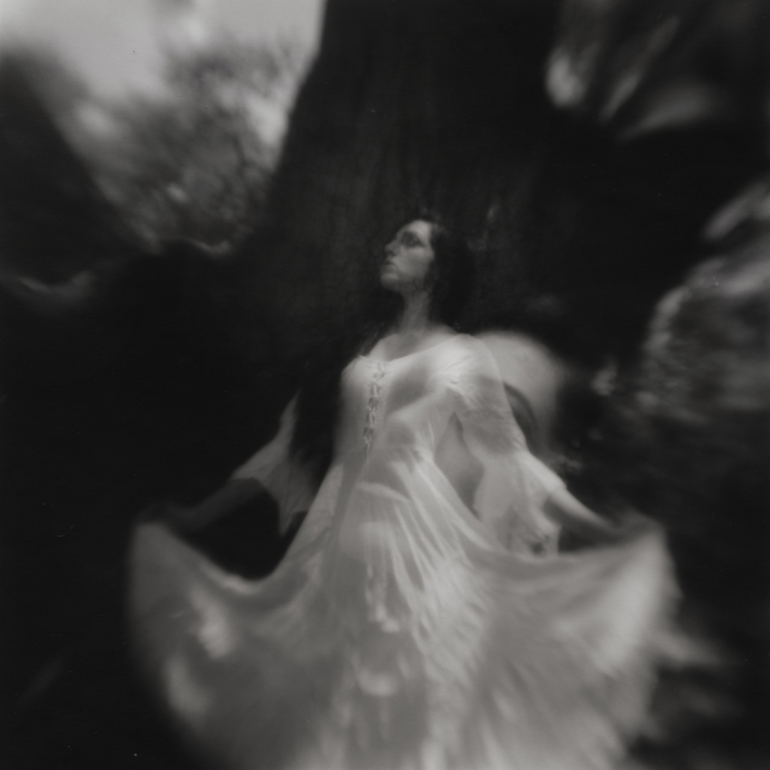 Calling of the Night Owl