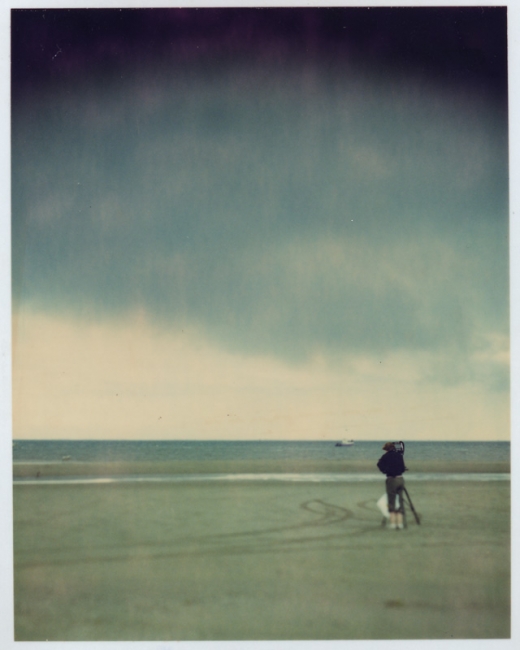 Camargue