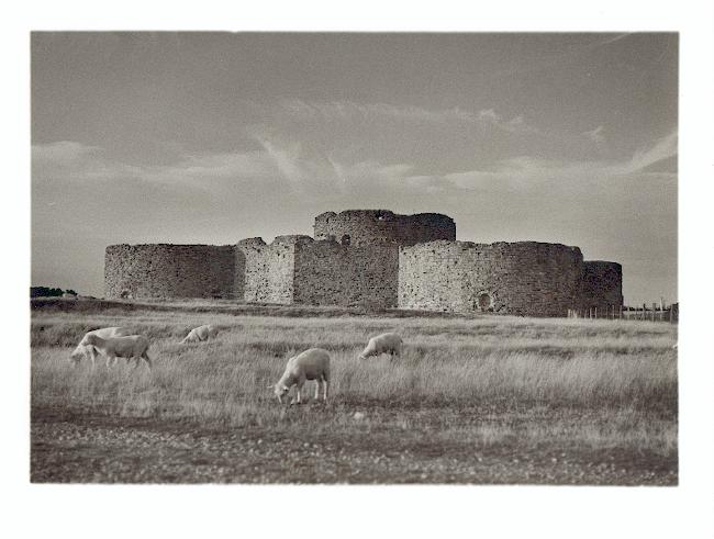Camber Castle