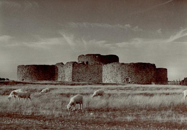 Camber Castle2