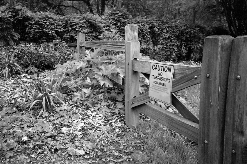 Camera 6 B&W by lmn