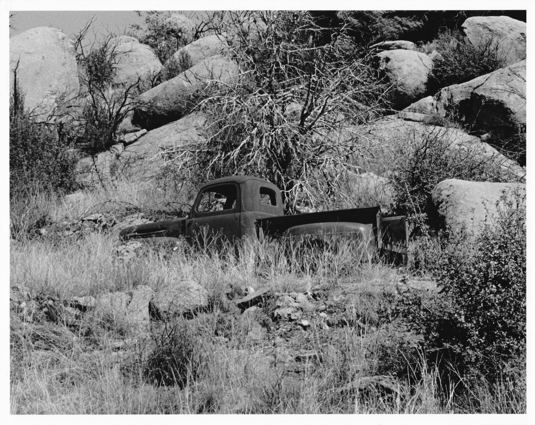 Camouflaged Abandoned Truck