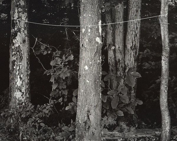 Camp Clothesline