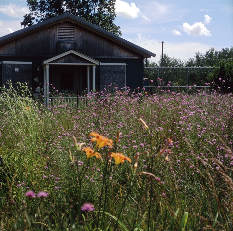 Camp Pellston Velvia 50