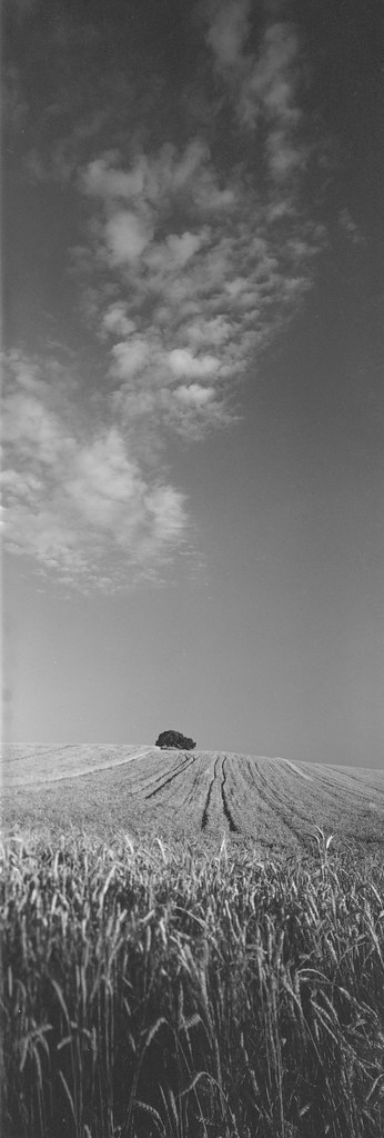 Campo 3