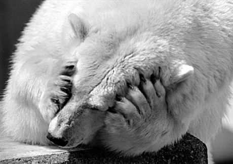 "Can´t stand this headache anymore!"