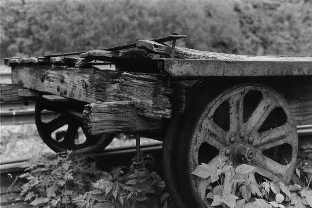 Can you guess my age?