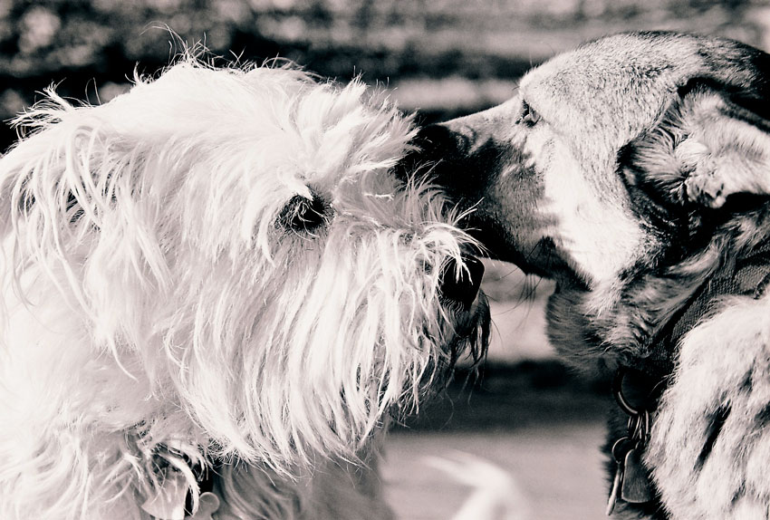 Can You Keep A Secret?