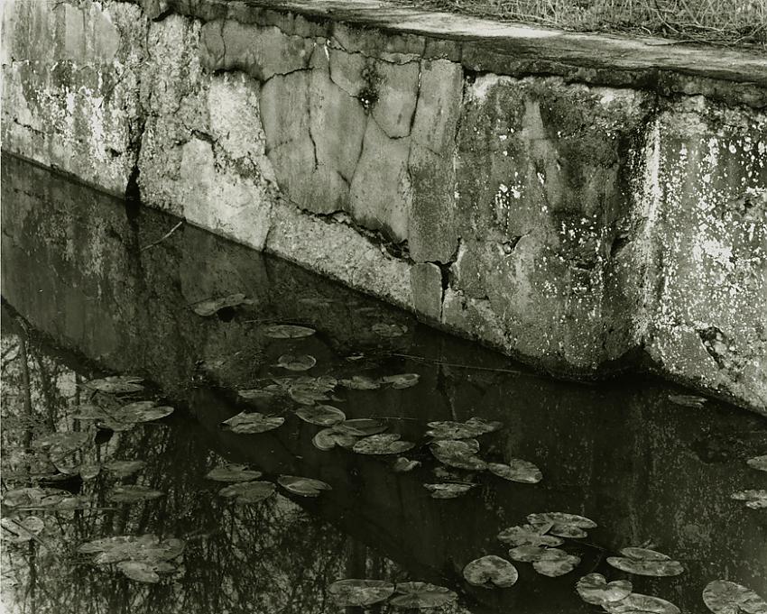 Canal
