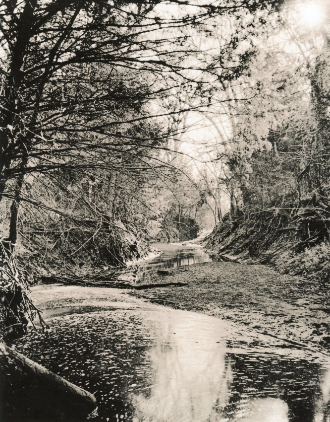 Cantrell Slough 2
