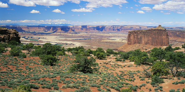 Canyonlands, Island in the Sky and the Henry Range