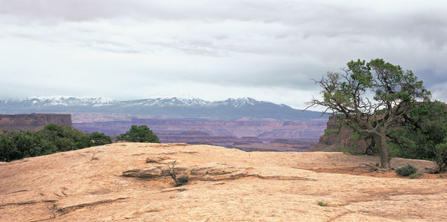 Canyonlands, Island in the Sky and the La Sal Range