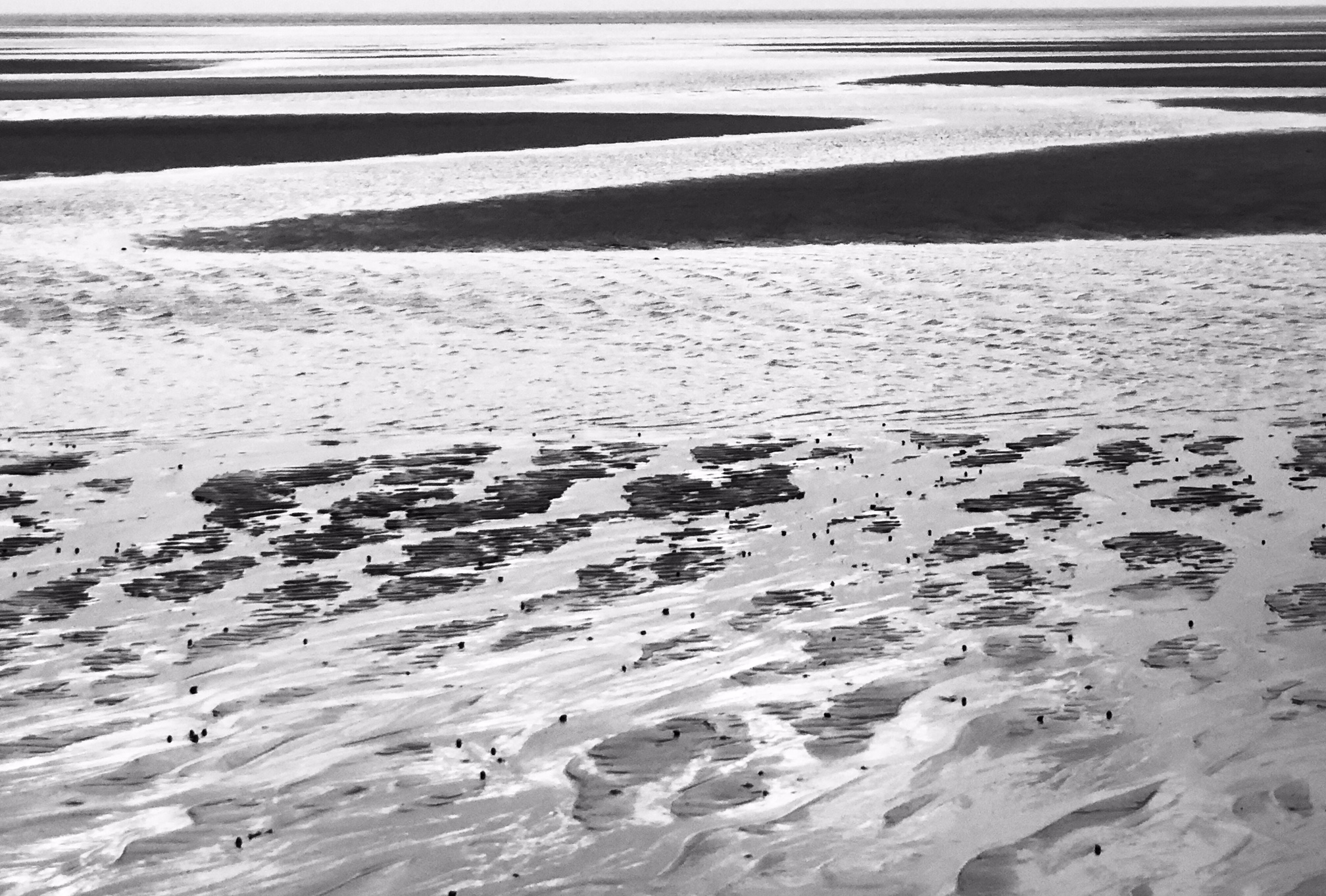 Cape Cod