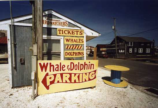 Cape May, NJ
