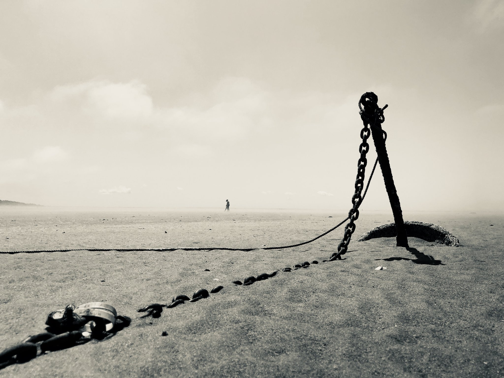Cape Morning