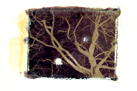 Capillaries