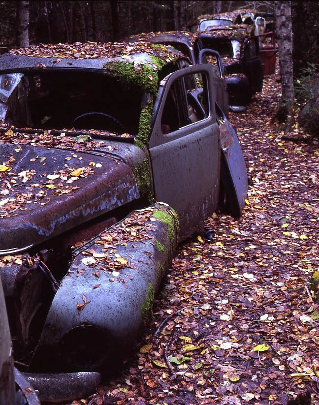 Car Cemetery, Båstnäs, Sweden