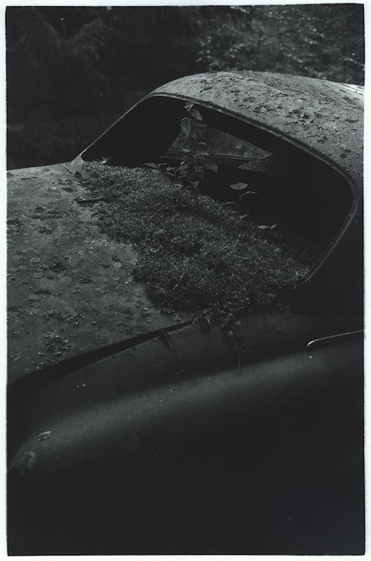 Car Graveyard