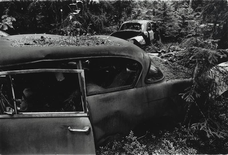 Car Graveyard