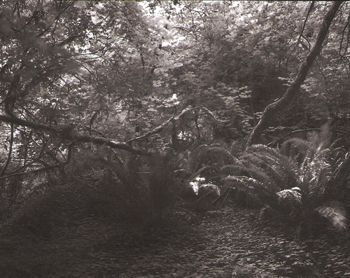 Carbin Transfer,stout Grove