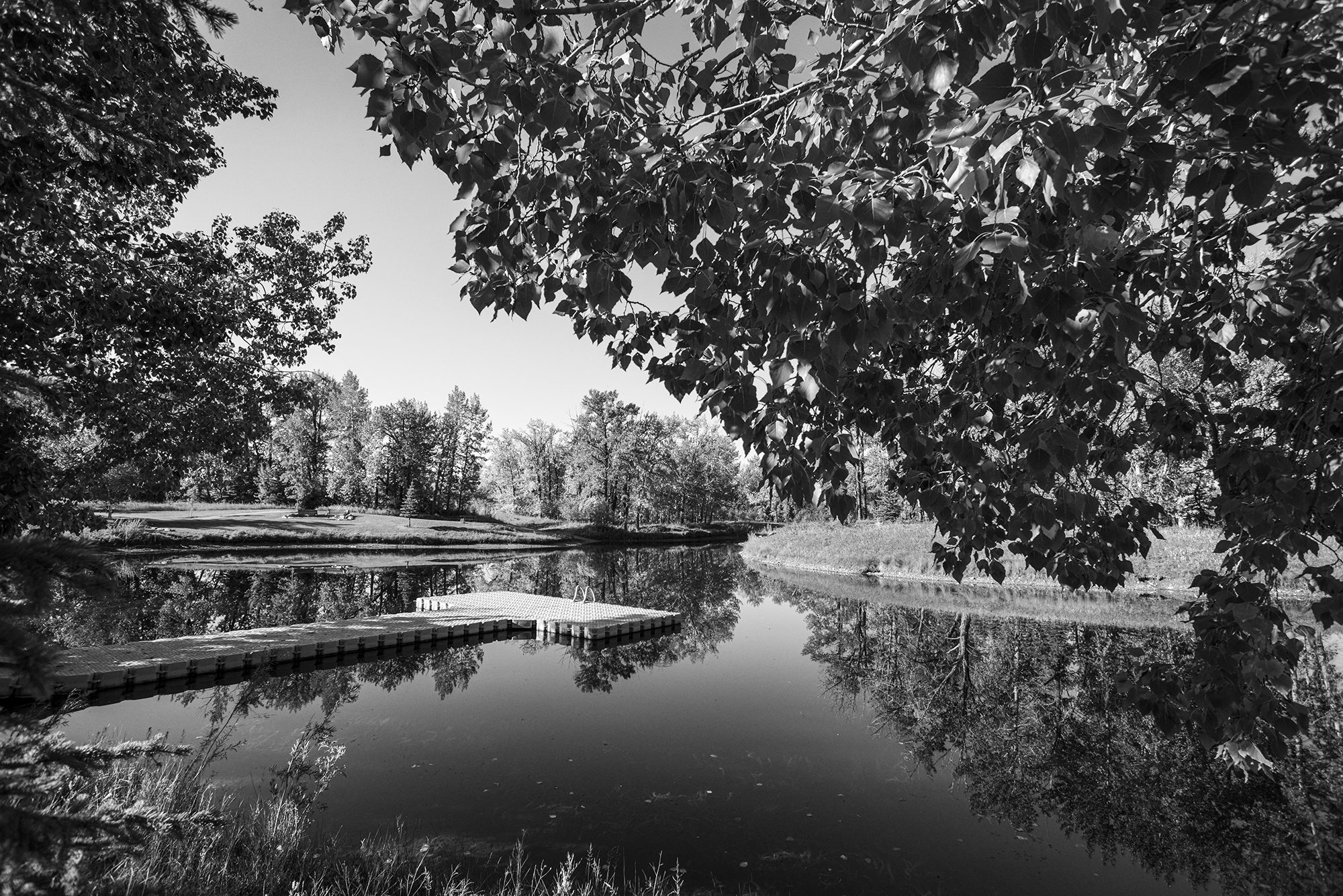 Carburn Park
