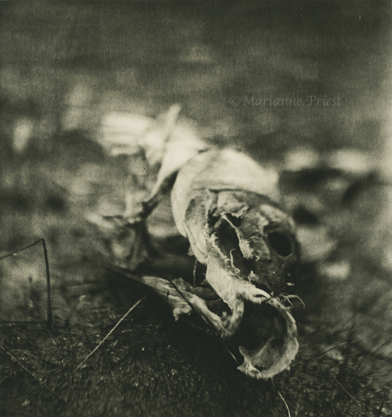 carcass 2