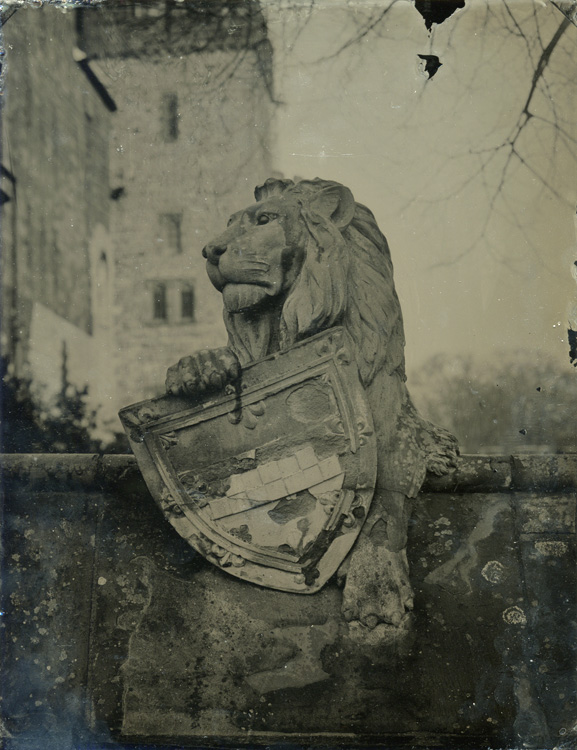 Cardiff Castle's Animal Wall -  Lion