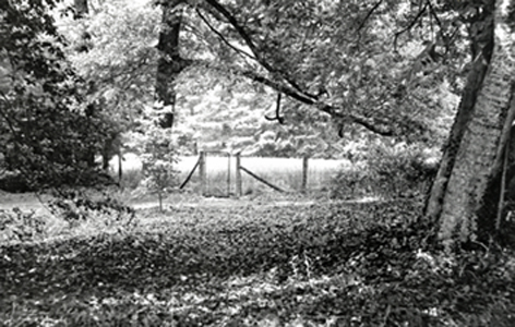 Carl Sandburgh's Gate