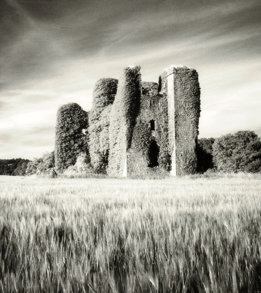 Carrickdexter Castle