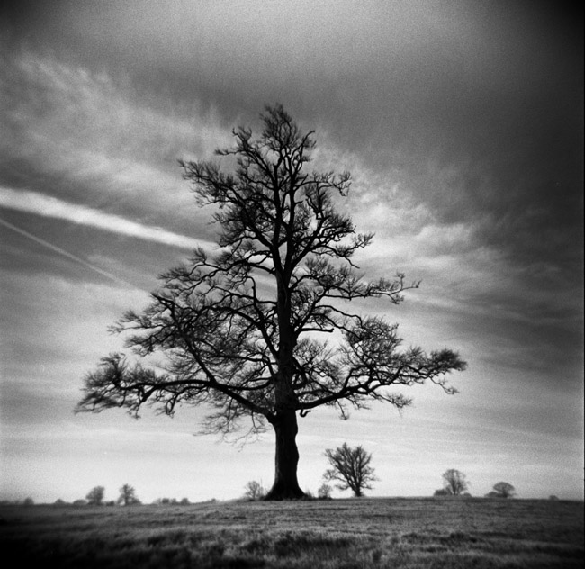 Carton Kildare Ireland