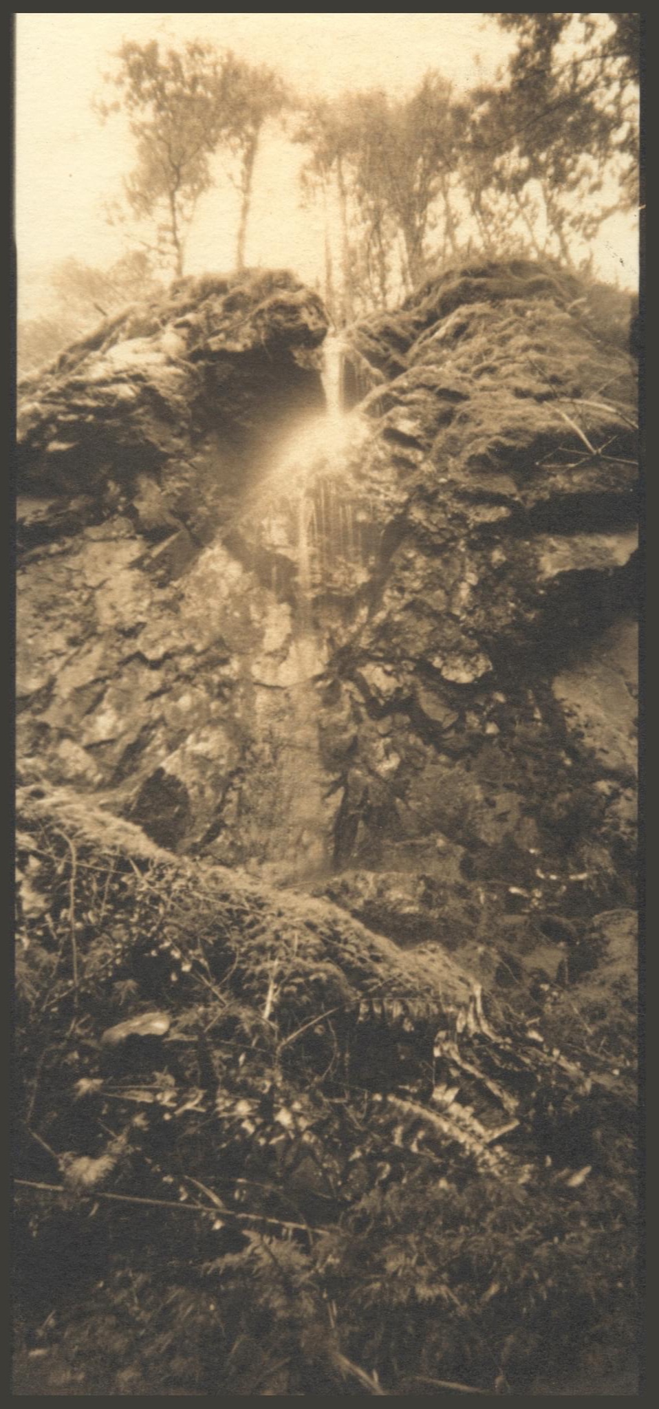 Cascade