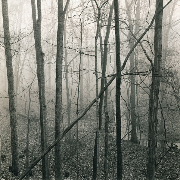 Casualty of Winter, Eagle Creek