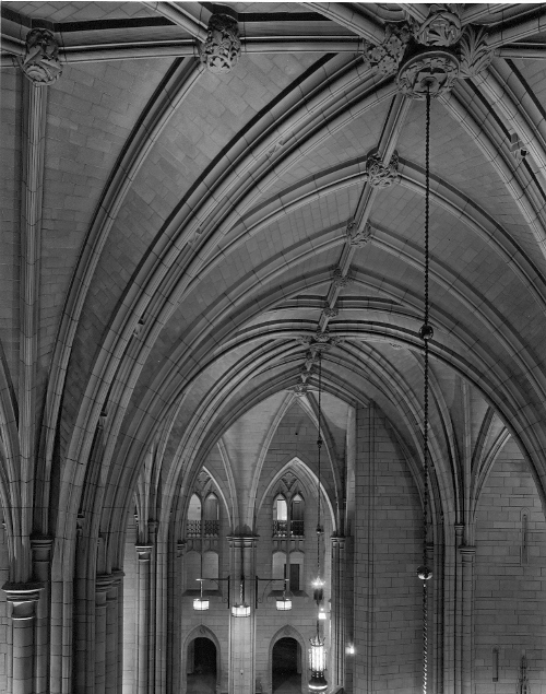 cathedral ceiling 2