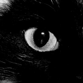CATS EYE