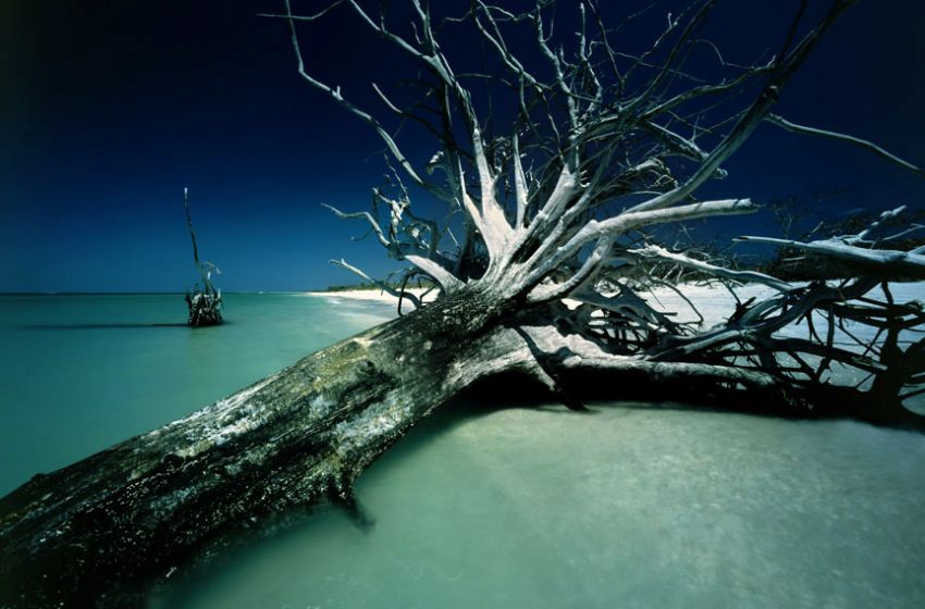 Cayo Costa #1