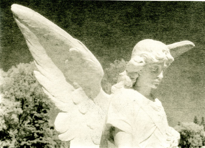 Cemetery Angel