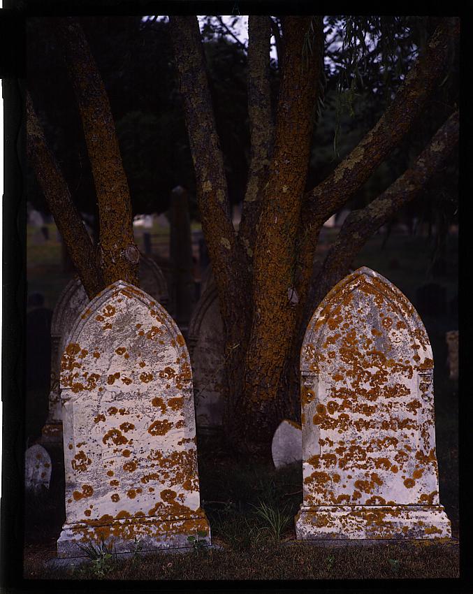 Cemetery, Cape Cod