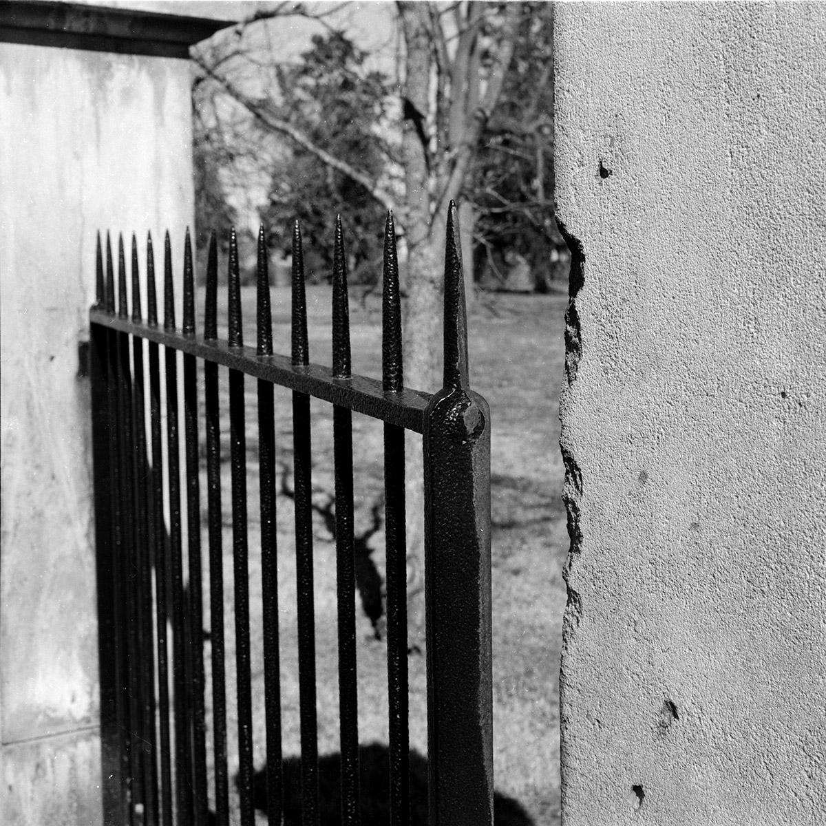 Cemetery Gate Fredericksburg