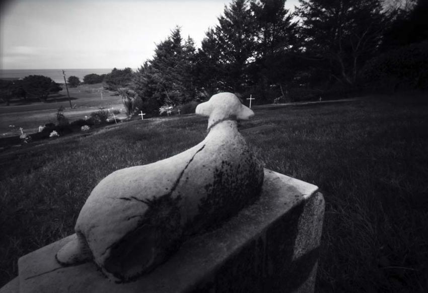 Cemetery Sentinel